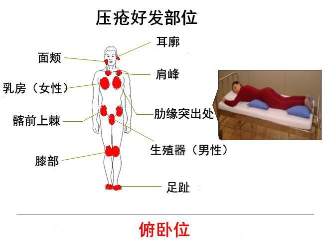 201506241529264001.jpg